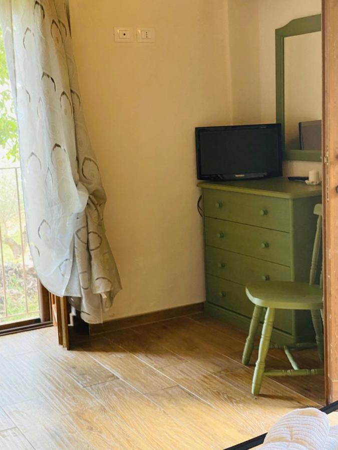 Agriturismo Flara Basciano 外观 照片