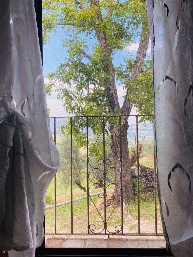 Agriturismo Flara Basciano 外观 照片