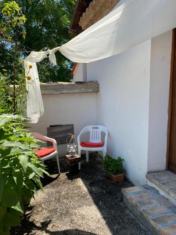 Agriturismo Flara Basciano 外观 照片