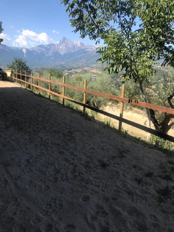Agriturismo Flara Basciano 外观 照片